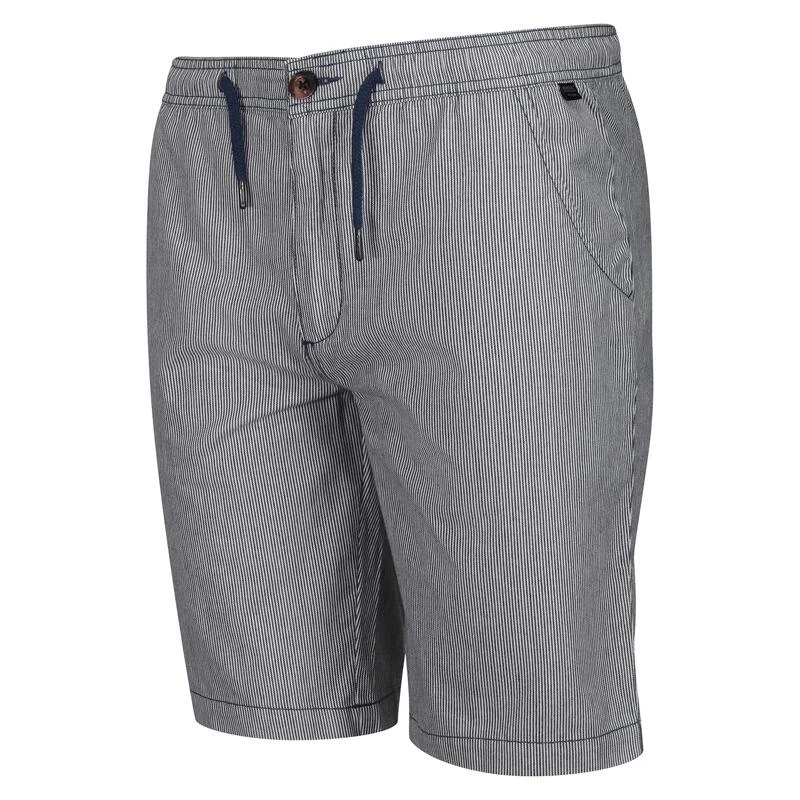 Regatta Albie Short De Marche Pour Homme - Bleu Clair 3 Regatta Albie Short De Marche Pour Homme - Bleu Clair