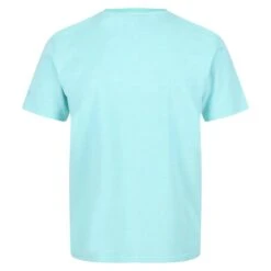 Regatta Caelum T-shirt De Marche à Manches Courtes Pour Homme - Bleu Vif -Promos Regatta || Quechua || Dare 2b Boutique caelum t shirt de marche a manches courtes pour homme bleu vif 3