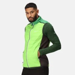 Regatta Halton VII Homme Marche Veste Sans Manches Baffled -Promos Regatta || Quechua || Dare 2b Boutique halton vii homme marche veste sans manches baffled 3
