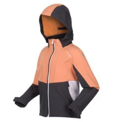 Regatta Haydenbury Enfant Marche Veste Softshell -Promos Regatta || Quechua || Dare 2b Boutique haydenbury enfant marche veste softshell 2