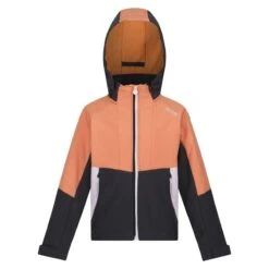 Regatta Haydenbury Enfant Marche Veste Softshell