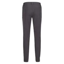 Regatta Pantalon De Randonnée KENNICK Homme (Cendre) -Promos Regatta || Quechua || Dare 2b Boutique pantalon de randonnee kennick homme cendre 1