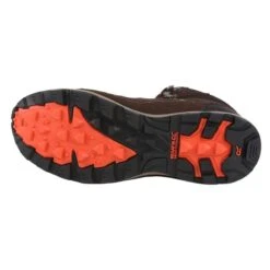 Regatta Samaris Homme Randonnée Chaussures - Marron / Orange -Promos Regatta || Quechua || Dare 2b Boutique samaris homme randonnee chaussures marron orange 3