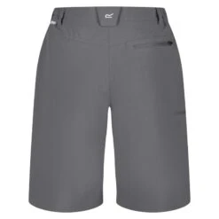 Regatta Short Extensible Xert Pour Femme/femme (Gris Sceau) 7 Regatta Short Extensible Xert Pour Femme/femme (Gris Sceau) -Promos Regatta || Quechua || Dare 2b Boutique short extensible xert pour femmefemme gris sceau 1