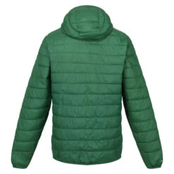 Regatta Veste HILLPACK Homme (Vert) -Promos Regatta || Quechua || Dare 2b Boutique veste hillpack homme vert 1